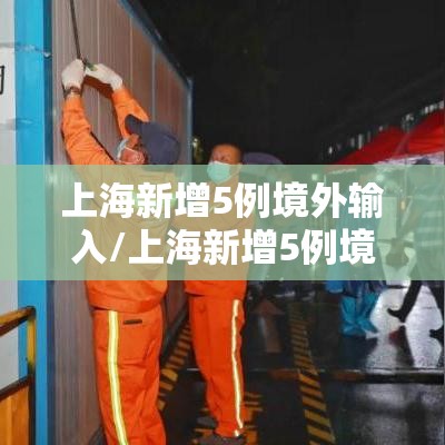 上海新增5例境外输入/上海新增5例境外输入病例