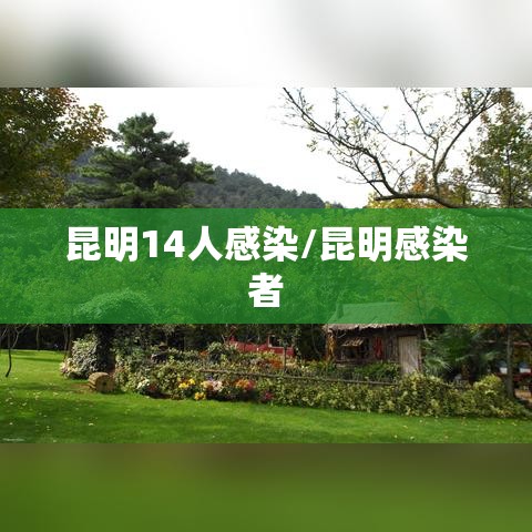 昆明14人感染/昆明感染者 昆明14人感染/昆明感染者