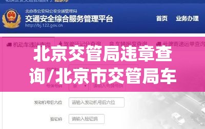 北京交管局违章查询/北京市交管局车辆违章查询app 北京交管局违章查询/北京市交管局车辆违章查询app