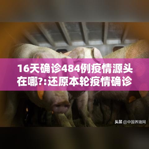 16天确诊484例疫情源头在哪?:还原本轮疫情确诊病例行动轨迹 16天确诊484例疫情源头在哪?:还原本轮疫情确诊病例行动轨迹
