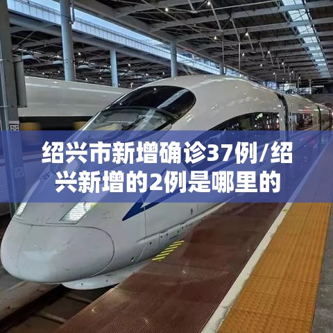 绍兴市新增确诊37例/绍兴新增的2例是哪里的 绍兴市新增确诊37例/绍兴新增的2例是哪里的
