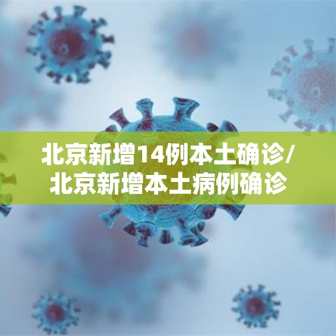 北京新增14例本土确诊/北京新增本土病例确诊 北京新增14例本土确诊/北京新增本土病例确诊