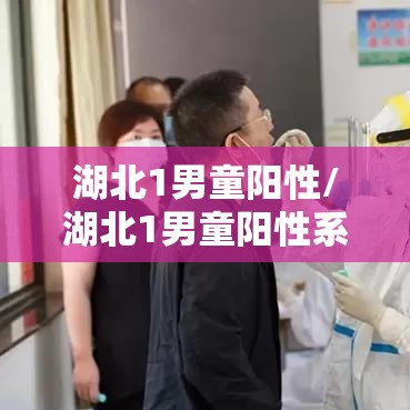湖北1男童阳性/湖北1男童阳性系江苏病例密接 湖北1男童阳性/湖北1男童阳性系江苏病例密接