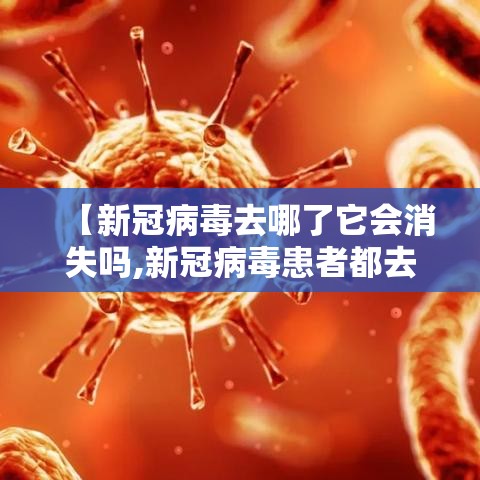 【新冠病毒去哪了它会消失吗,新冠病毒患者都去了哪里】 【新冠病毒去哪了它会消失吗,新冠病毒患者都去了哪里】