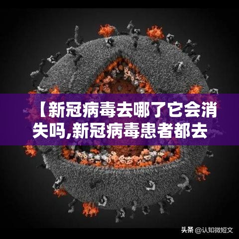 【新冠病毒去哪了它会消失吗,新冠病毒患者都去了哪里】 【新冠病毒去哪了它会消失吗,新冠病毒患者都去了哪里】