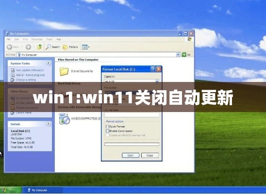 win1:win11关闭自动更新