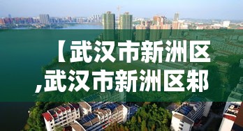 【武汉市新洲区,武汉市新洲区邾城街邮政编码】