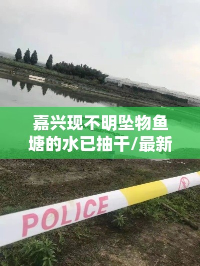 嘉兴现不明坠物鱼塘的水已抽干/最新嘉兴鱼塘不明坠物 嘉兴现不明坠物鱼塘的水已抽干/最新嘉兴鱼塘不明坠物