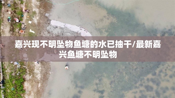 嘉兴现不明坠物鱼塘的水已抽干/最新嘉兴鱼塘不明坠物 嘉兴现不明坠物鱼塘的水已抽干/最新嘉兴鱼塘不明坠物