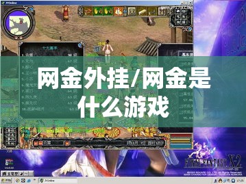 网金外挂/网金是什么游戏 网金外挂/网金是什么游戏