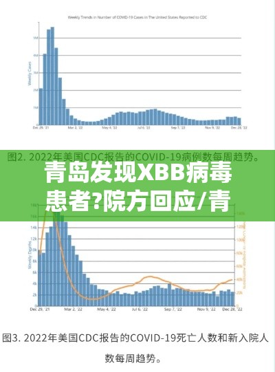 青岛发现XBB病毒患者?院方回应/青岛发现xbb病毒患者?院方回应了吗 青岛发现XBB病毒患者?院方回应/青岛发现xbb病毒患者?院方回应了吗