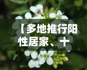 【多地推行阳性居家、十字花隔离,十字隔离骨架】