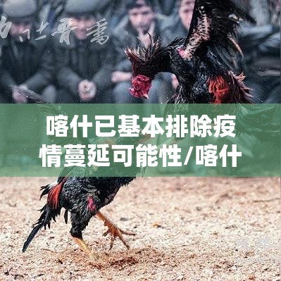 喀什已基本排除疫情蔓延可能性/喀什地区疫情解除了吗 喀什已基本排除疫情蔓延可能性/喀什地区疫情解除了吗