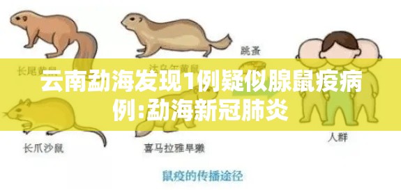 云南勐海发现1例疑似腺鼠疫病例:勐海新冠肺炎 云南勐海发现1例疑似腺鼠疫病例:勐海新冠肺炎