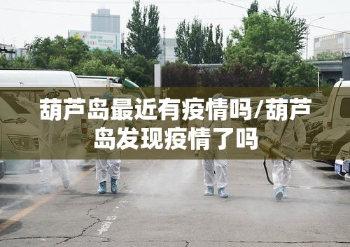 葫芦岛最近有疫情吗/葫芦岛发现疫情了吗