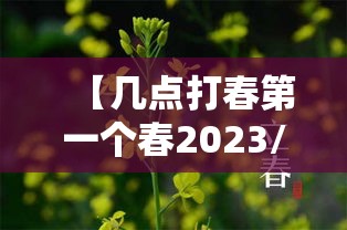 【几点打春第一个春2023/2021年几点打春时间是上午还是下午】 【几点打春第一个春2023/2021年几点打春时间是上午还是下午】