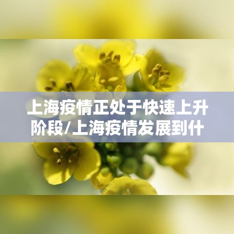 上海疫情正处于快速上升阶段/上海疫情发展到什么程度