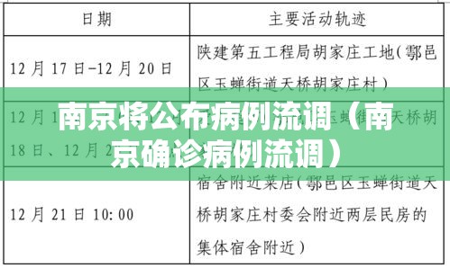南京将公布病例流调（南京确诊病例流调）