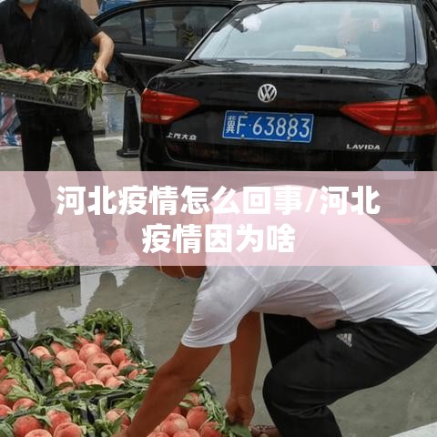 河北疫情怎么回事/河北疫情因为啥