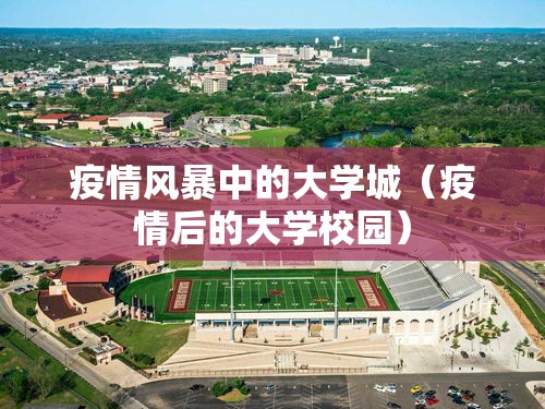 疫情风暴中的大学城(疫情后的大学校园) 疫情风暴中的大学城(疫情后的大学校园)