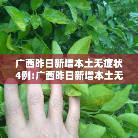 广西昨日新增本土无症状4例:广西昨日新增本土无症状4例病例 广西昨日新增本土无症状4例:广西昨日新增本土无症状4例病例