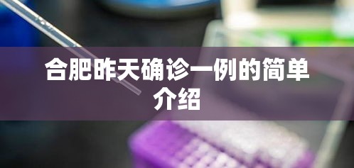 合肥昨天确诊一例的简单介绍