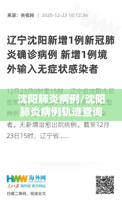 沈阳肺炎病例/沈阳肺炎病例轨迹查询 沈阳肺炎病例/沈阳肺炎病例轨迹查询