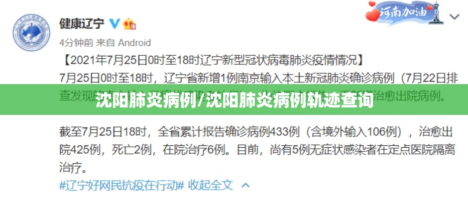沈阳肺炎病例/沈阳肺炎病例轨迹查询 沈阳肺炎病例/沈阳肺炎病例轨迹查询