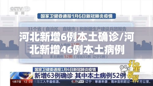 河北新增6例本土确诊/河北新增46例本土病例