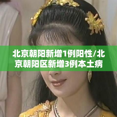 北京朝阳新增1例阳性/北京朝阳区新增3例本土病例