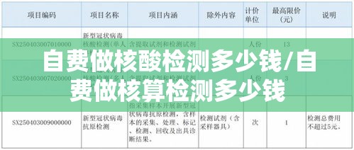 自费做核酸检测多少钱/自费做核算检测多少钱
