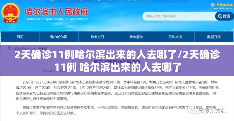 2天确诊11例哈尔滨出来的人去哪了/2天确诊11例 哈尔滨出来的人去哪了 2天确诊11例哈尔滨出来的人去哪了/2天确诊11例 哈尔滨出来的人去哪了