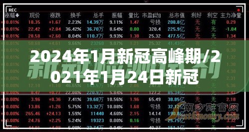 2024年1月新冠高峰期/2021年1月24日新冠 2024年1月新冠高峰期/2021年1月24日新冠