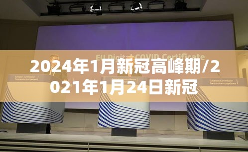 2024年1月新冠高峰期/2021年1月24日新冠 2024年1月新冠高峰期/2021年1月24日新冠