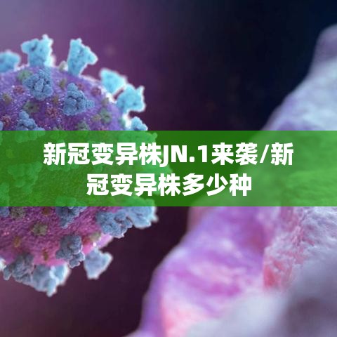 新冠变异株JN.1来袭/新冠变异株多少种 新冠变异株JN.1来袭/新冠变异株多少种