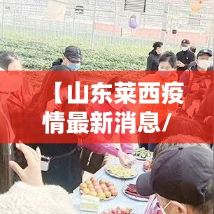 【山东莱西疫情最新消息/山东莱阳疫情最新情况】 【山东莱西疫情最新消息/山东莱阳疫情最新情况】