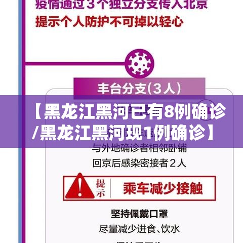 【黑龙江黑河已有8例确诊/黑龙江黑河现1例确诊】 【黑龙江黑河已有8例确诊/黑龙江黑河现1例确诊】