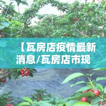 【瓦房店疫情最新消息/瓦房店市现在疫情】 【瓦房店疫情最新消息/瓦房店市现在疫情】