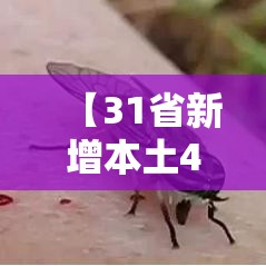 【31省新增本土40例广西30例/广西新增7例详情】 【31省新增本土40例广西30例/广西新增7例详情】