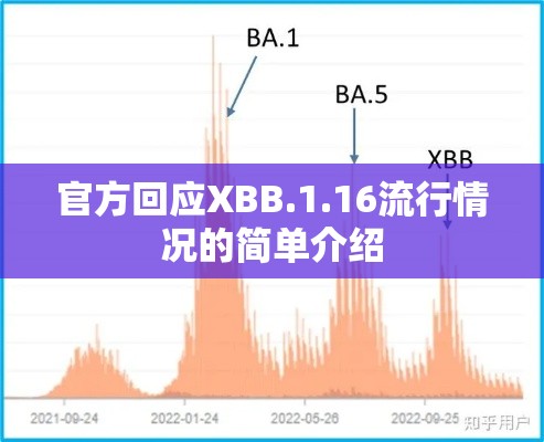 官方回应XBB.1.16流行情况的简单介绍 官方回应XBB.1.16流行情况的简单介绍
