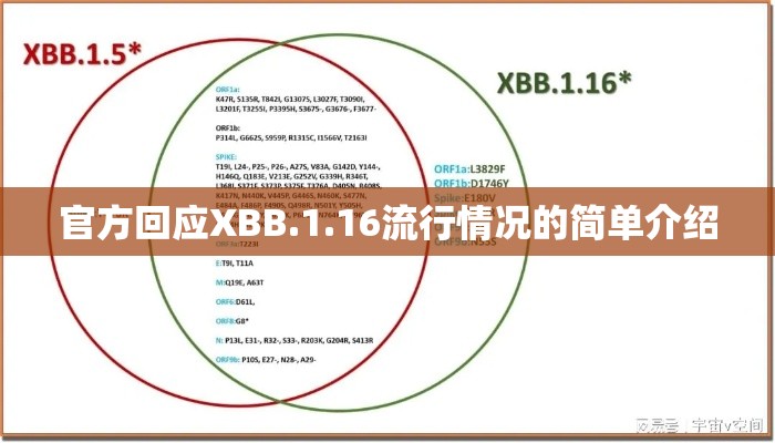 官方回应XBB.1.16流行情况的简单介绍 官方回应XBB.1.16流行情况的简单介绍
