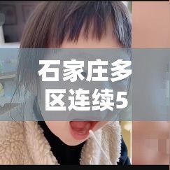 石家庄多区连续5天全员核检:石家庄全员核酸检测时间安排 石家庄多区连续5天全员核检:石家庄全员核酸检测时间安排