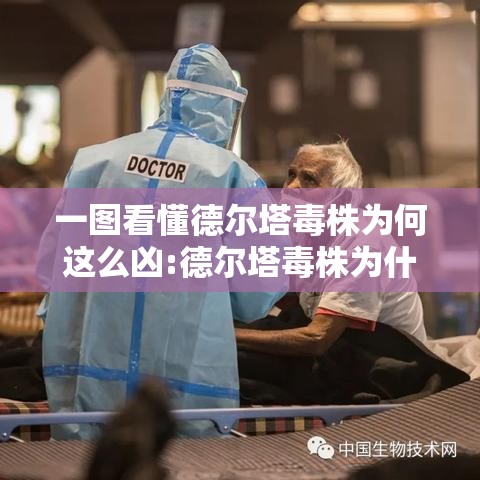 一图看懂德尔塔毒株为何这么凶:德尔塔毒株为什么这么凶 一图看懂德尔塔毒株为何这么凶:德尔塔毒株为什么这么凶