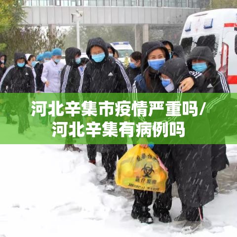 河北辛集市疫情严重吗/河北辛集有病例吗 河北辛集市疫情严重吗/河北辛集有病例吗