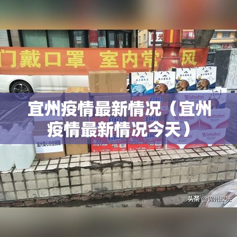 宜州疫情最新情况(宜州疫情最新情况今天) 宜州疫情最新情况(宜州疫情最新情况今天)