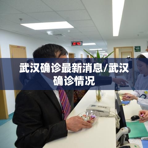 武汉确诊最新消息/武汉确诊情况