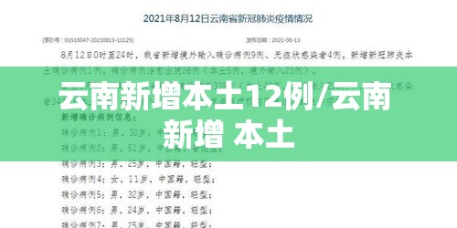 云南新增本土12例/云南 新增 本土 云南新增本土12例/云南 新增 本土