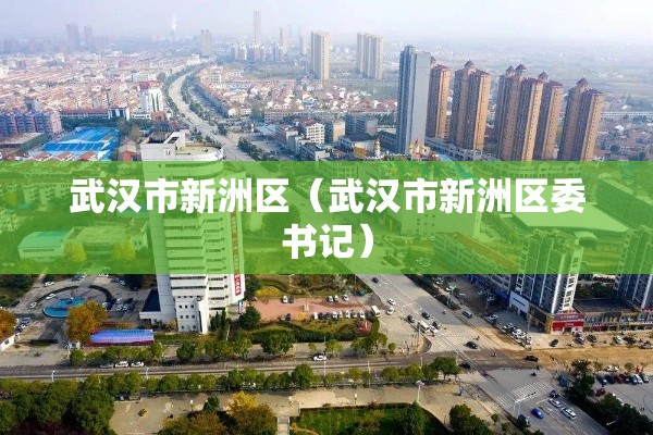 武汉市新洲区(武汉市新洲区委书记) 武汉市新洲区(武汉市新洲区委书记)