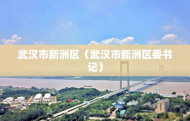 武汉市新洲区(武汉市新洲区委书记) 武汉市新洲区(武汉市新洲区委书记)