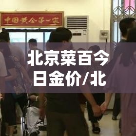 北京菜百今日金价/北京菜百今日黄金价格 北京菜百今日金价/北京菜百今日黄金价格